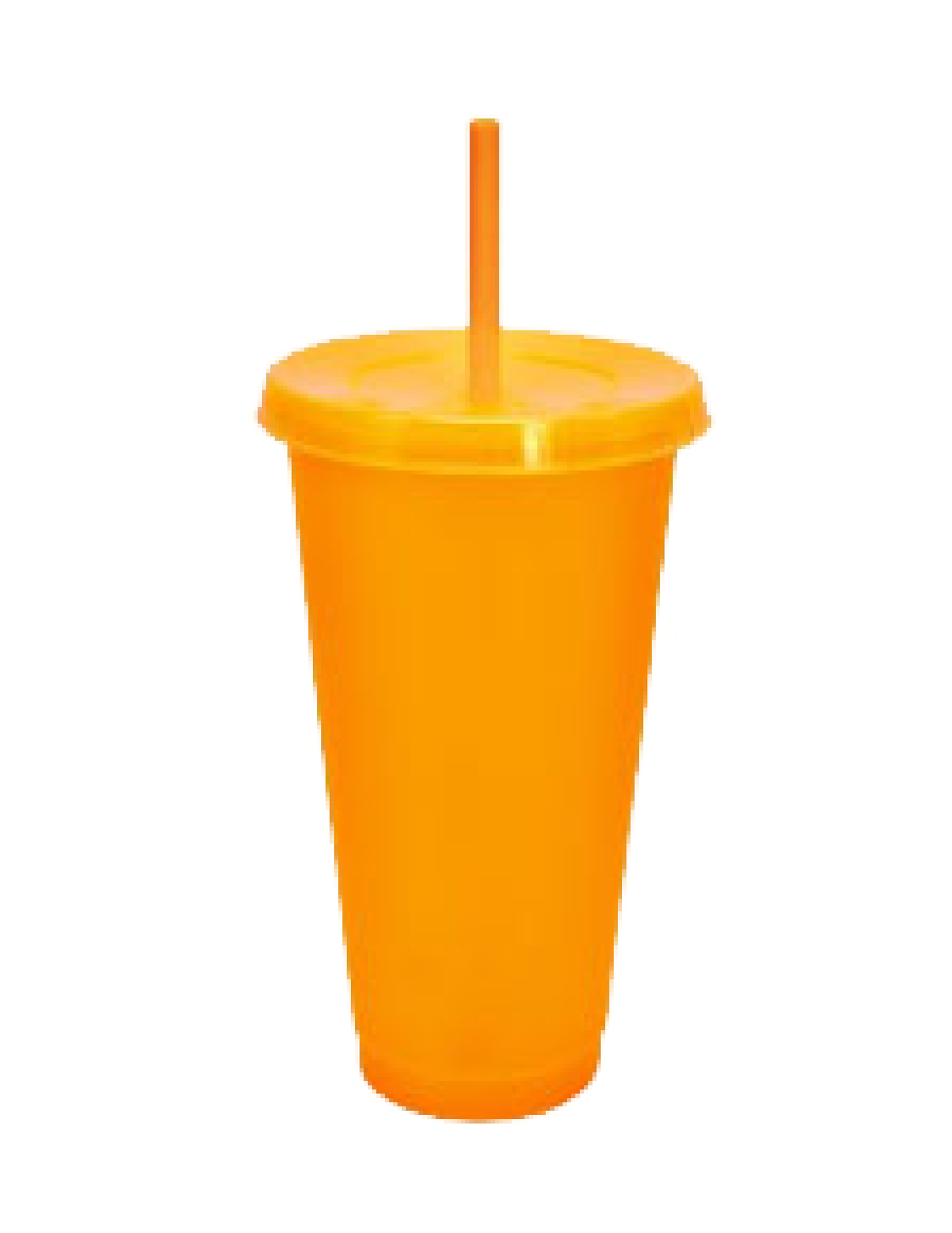Termo de Plástico